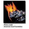carboniferous coal